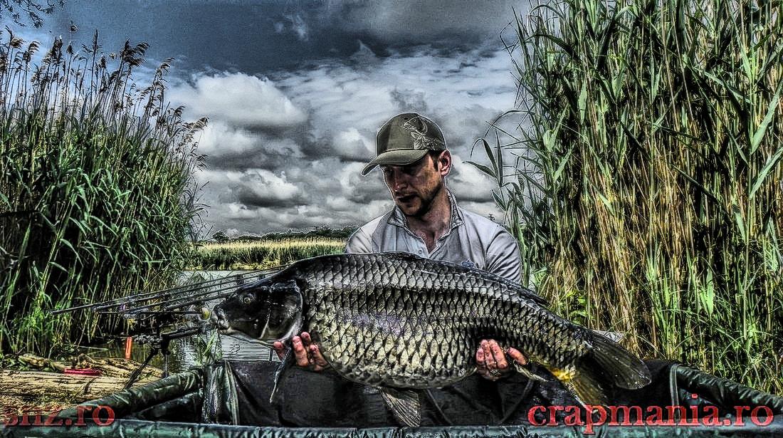 Crapmania - 2013 - 0000024hdrmode2.JPG